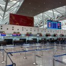 롯데부산면세점노동조합 | 다낭 국제공항 제주항공 부산행 비상구 좌석 탑승후기