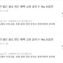 태백고원김치