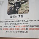 장수골 흑염소 이미지