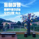 동해무릉건강숲 | 강원도 동해 무릉건강숲 숙박 후기, 동해여행 추천 숙소, 내돈내산, 가성비 좋은 리조트 같은 숙소...
