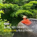 [공지] 올여름 제천 가족여행? 해브나인 스파가 정답!(6월 다녀온 후기, 할인 꿀팁 있음)