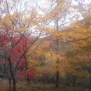 늦가을 해남 대흥사 이미지