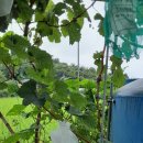 영기농장 이미지