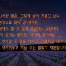 전정호농장 이미지