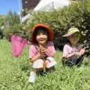 맹산환경생태학습원 이미지