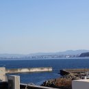 하마하우스 이미지