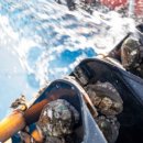 진도 아라 전복 이미지