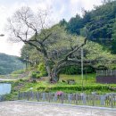 고길천로 이미지