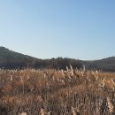 서도마을회관 티스토리
