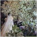 미래국제결혼사무소 이미지