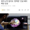 정자•난자 없이도 '완벽한' 인공 배아 배양 성공 이미지