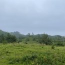 다가미 숭실대점 이미지