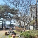진리 마을회관 | 광주 헬로카봇 뮤지컬 5살아들 관람 후기와 정보공유