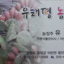 유태평농원