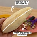 [타파웨어] 와이필러 소개 영상 사용후기 감자칼 감자필러 야채필러