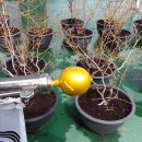 소사본3동주민센터 이미지