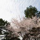 송정공원 이미지