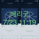 배리굿