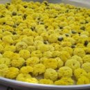 익산농장 이미지