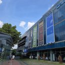 8월 공연 뮤지컬 더 오즈 | 내한공연 '위키드' 뮤지컬 상세소개