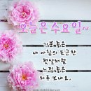 2월21일 수요일 경,인방 출석부 이미지