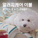 포그니이불 | 호텔침구 느낌 나는 포근하이 알러지케어 사계절이불 후기