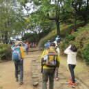 솔향기 쉼터 이미지