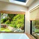 양양 스테이나무 이미지