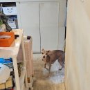 신원동 오락실 | <경기/삼송역>신원동 카페 맛집 분좋카 분위기 좋는 카페 추천 디저트 맛집 커피 맛집 추천 후기...