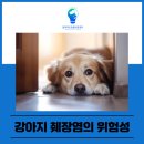 방학동물병원 이미지