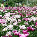 환경사업소 이미지