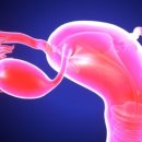 닥터예스팀산부인과의원 이미지