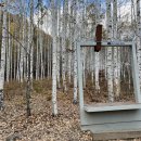 자작나무숲 주차장 이미지