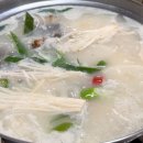 태안당일치기 여행 천리포수목원 신두리해안 사구 기차여행