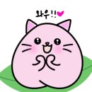 앤에스테틱 - 서구 | 앤에스테틱