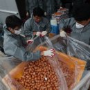 영세농장 이미지