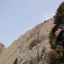 진도꽃집 이미지