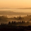 멋진 붓글씨 이미지