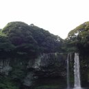 천지연 폭포 이미지