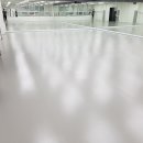 국가대표태권도1관 이미지