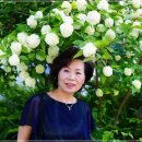 허브 펜션 이미지