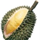 신기야채 이미지