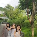 지우민박 이미지