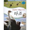 큰새 이미지