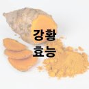 강황 효능 및 효과 부작용 이미지