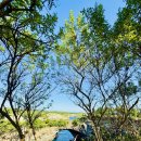 주식회사 서부중앙정비 | 누사페니다 서부투어 오후(일몰)택시투어로 섬 주요 관광지 돌아보기!