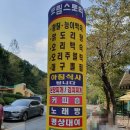 도림스토리 이미지