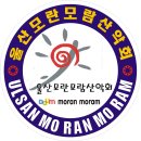 울산마크사