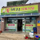 암소와꽃돼지 이미지