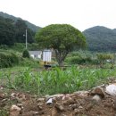 가덕농장 이미지